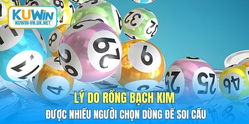 Lý do Rồng Bạch Kim được nhiều người chọn dùng để soi cầu