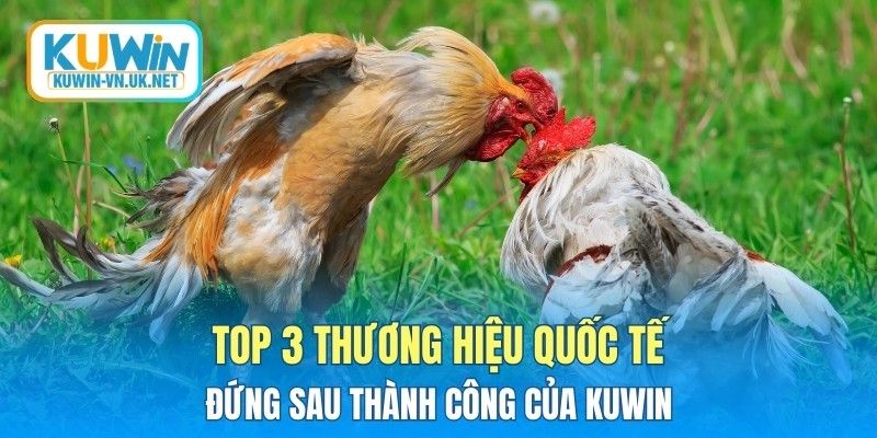 Top 3 thương hiệu quốc tế đứng sau thành công của KUWIN